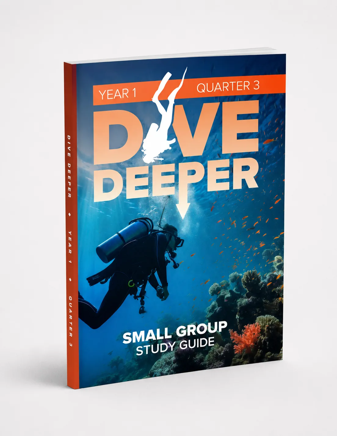 Dive Deeper Year 1 Quarter 3 study guide