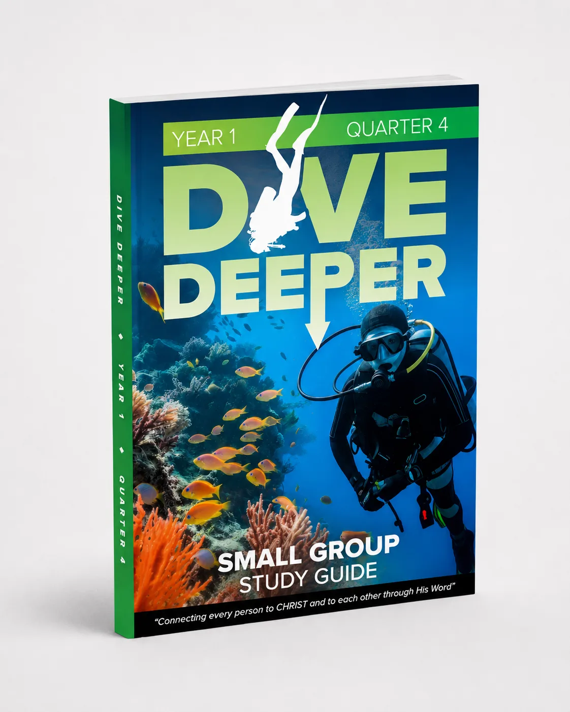 Dive Deeper Year 1 Quarter 4 study guide